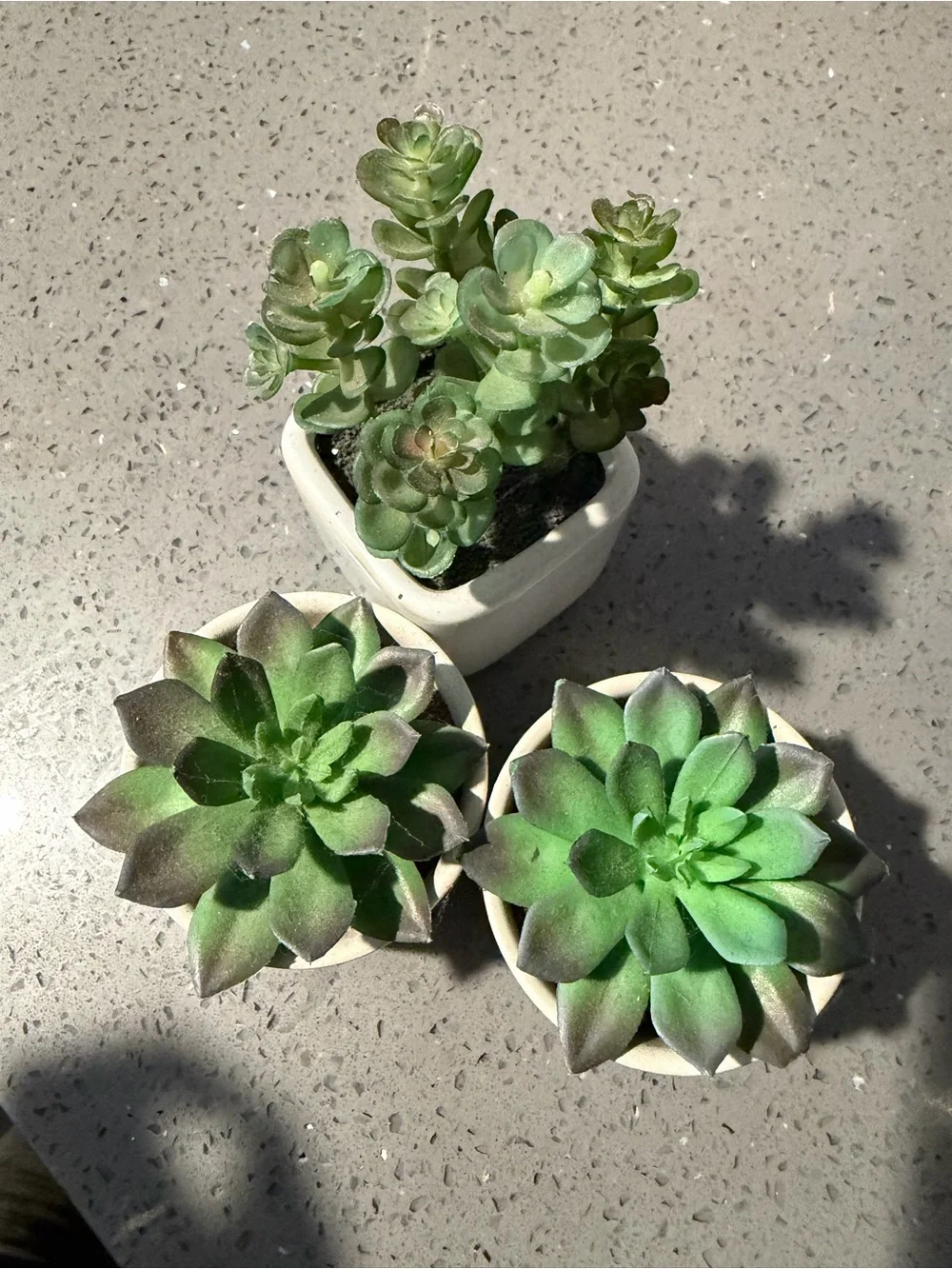 Set artificial succulents 3 pc Ceramic Planters Home Decor minimalist sleek pot